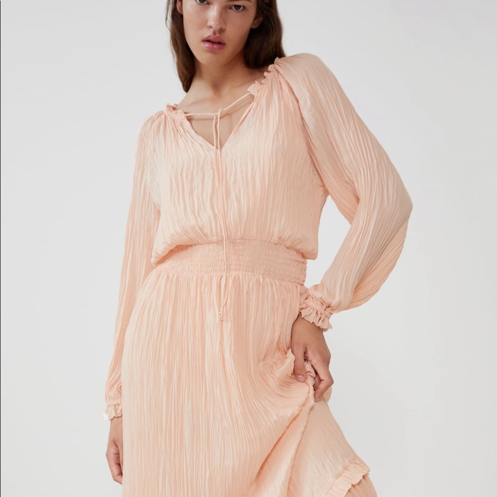 Zara dress
